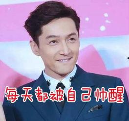 胡歌 委屈 表情包